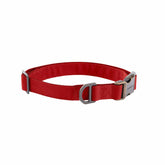 Field Dog Collar