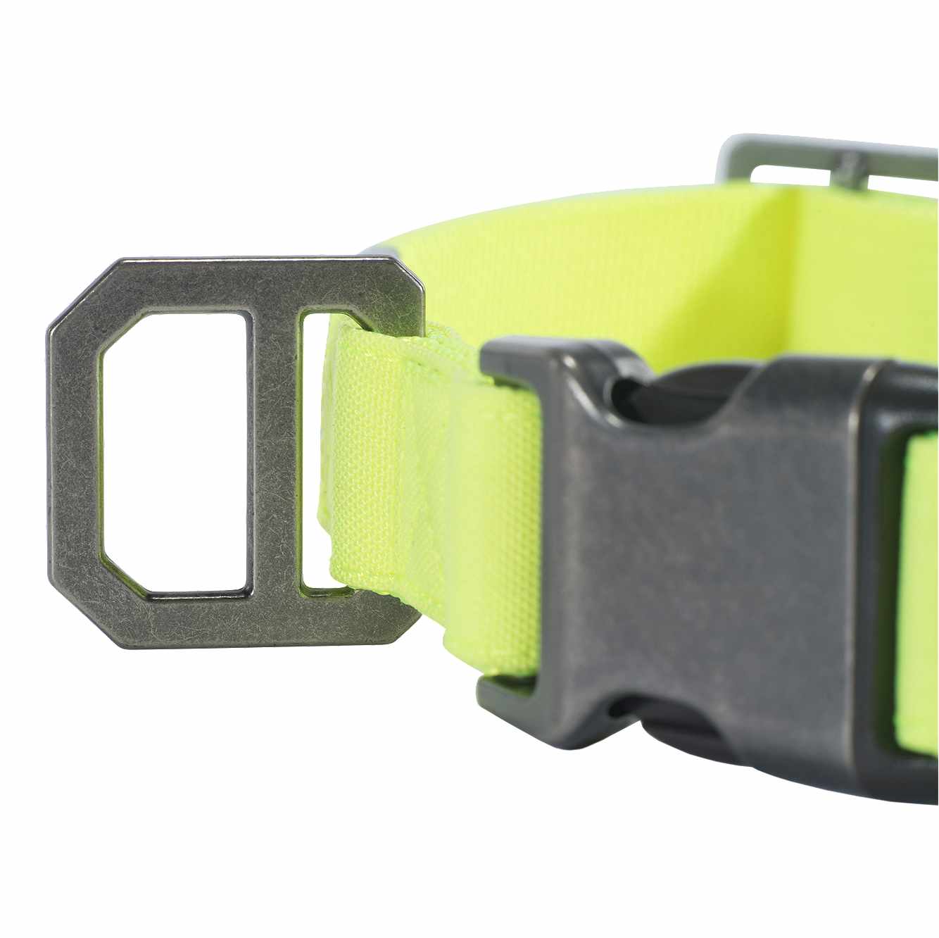 Nylon Duck Dog Collar