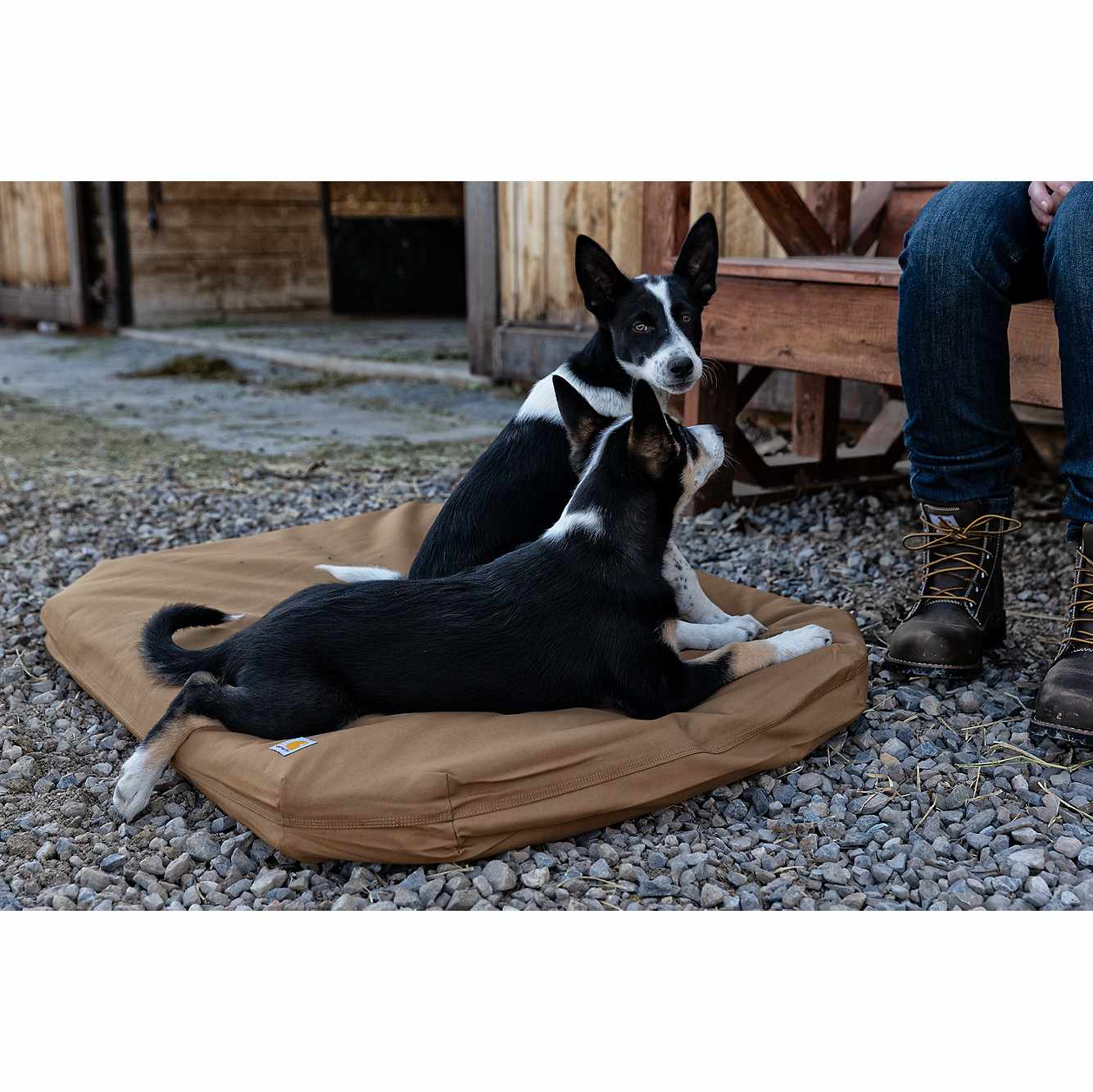 Field Dog Bed