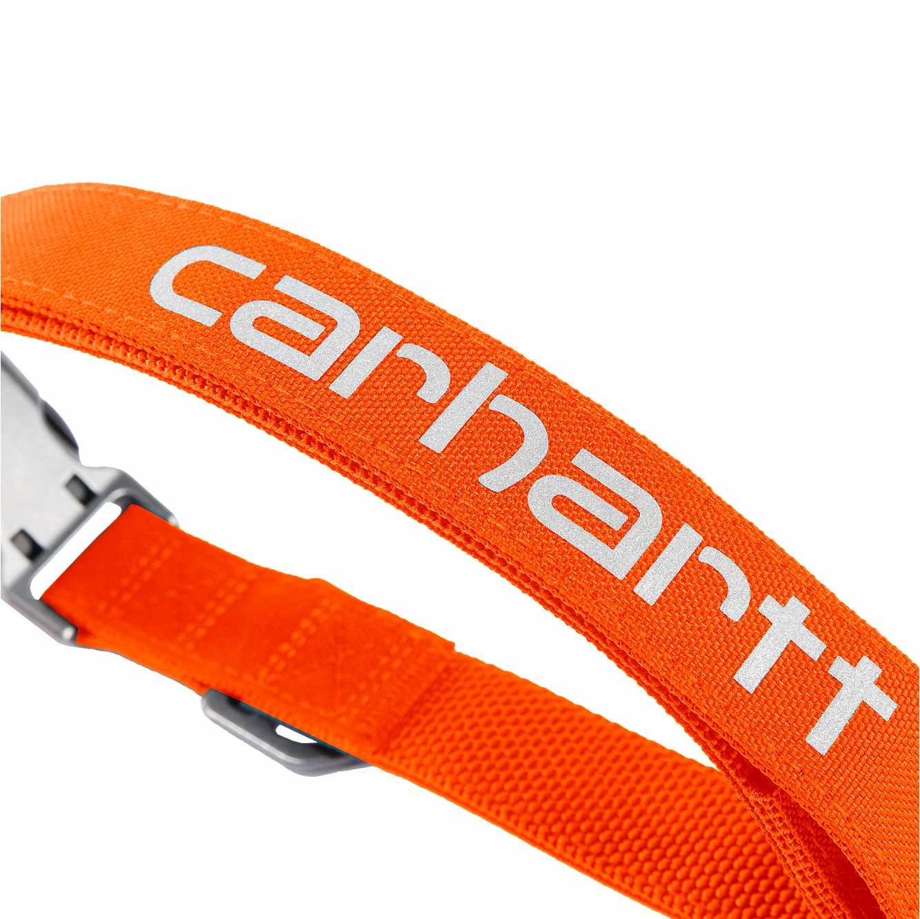 Field Dog Collar