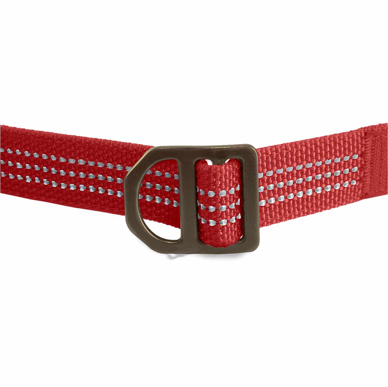 Field Dog Leash