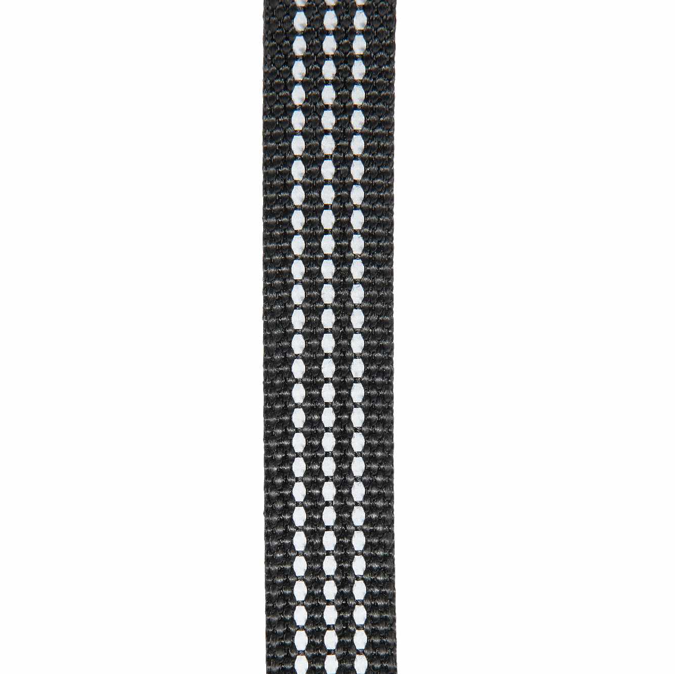 Dog Collar
