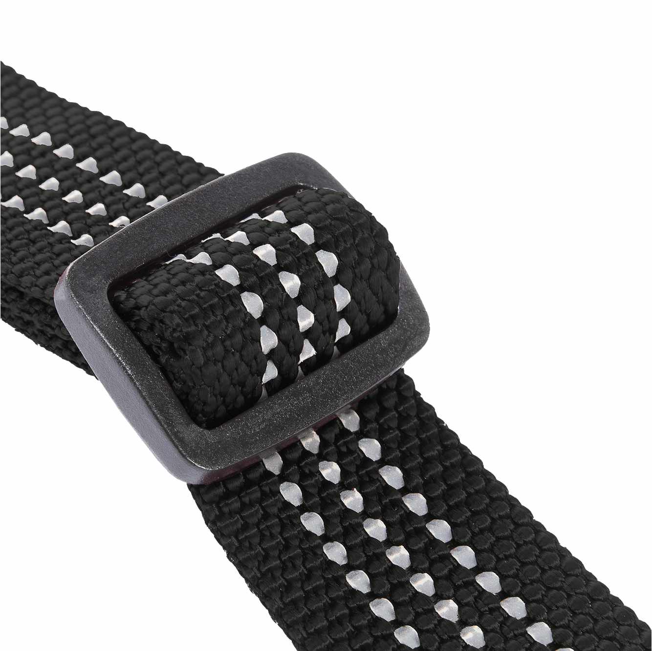 Dog Collar