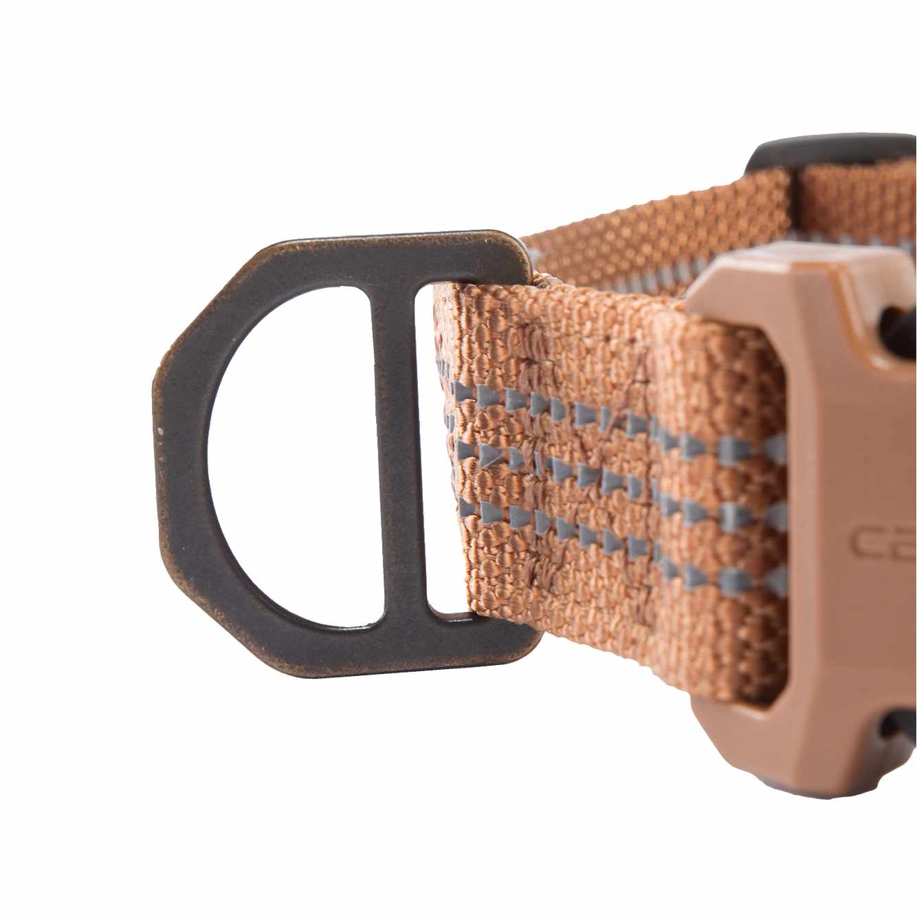 Dog Collar
