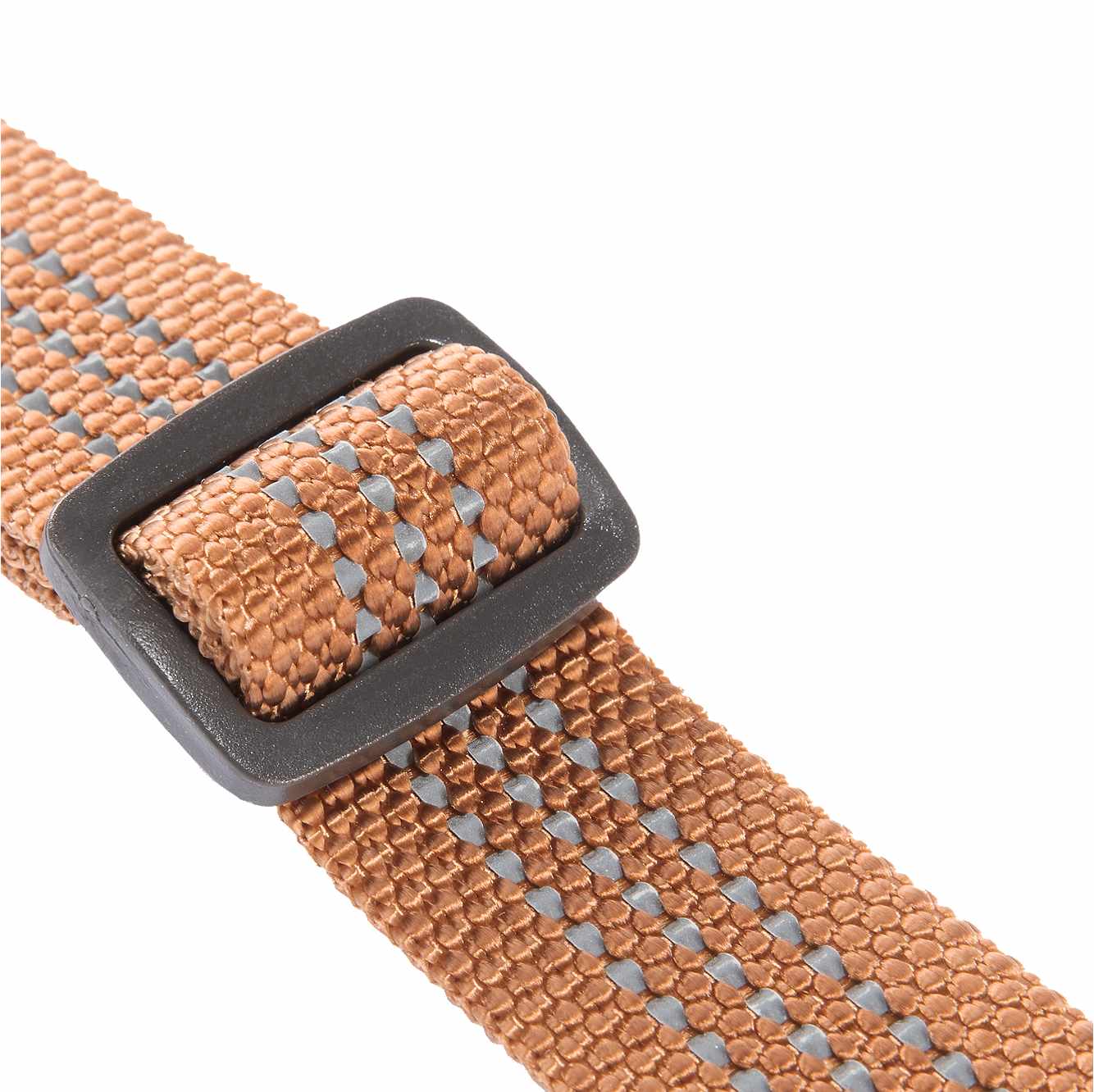 Dog Collar
