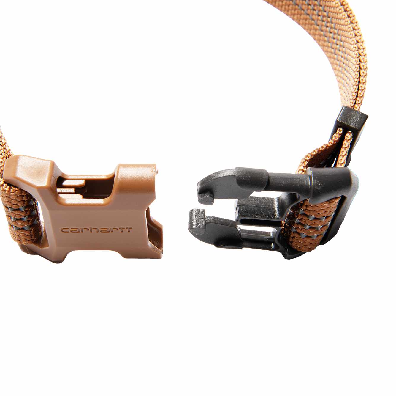 Dog Collar